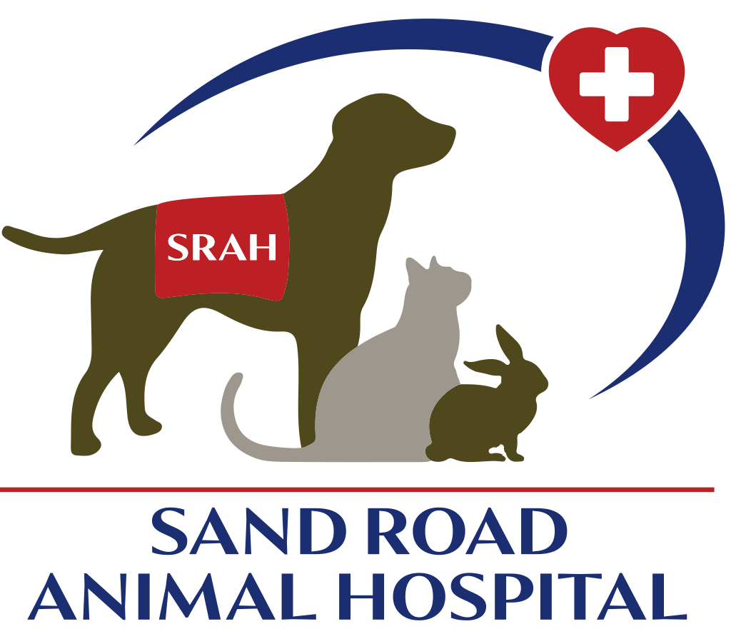 Hospital Updates | Sand Road Animal Hospital
